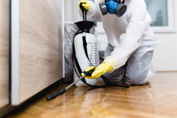 Best Bed Bug Extermination  in Saxonburg, PA