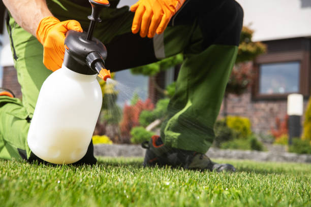 Best Pest Removal Services  in Saxonburg, PA