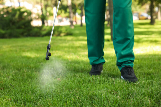 Insect Control in Saxonburg, PA
