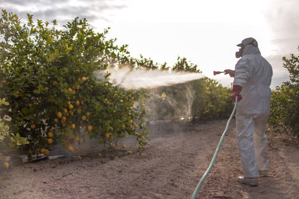  Saxonburg, PA Pest Control Pros