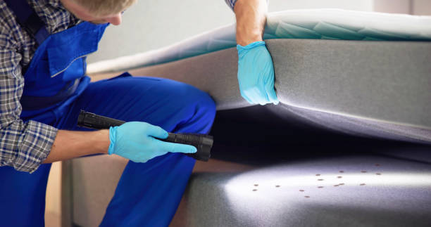 Best Residential Pest Control  in Saxonburg, PA