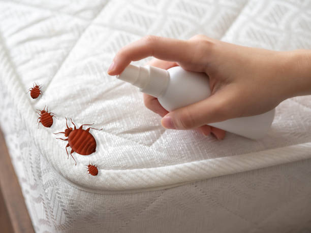Trusted Saxonburg, PA Pest Control Experts