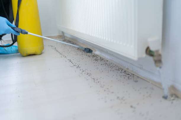 Best Exterminator Services  in Saxonburg, PA