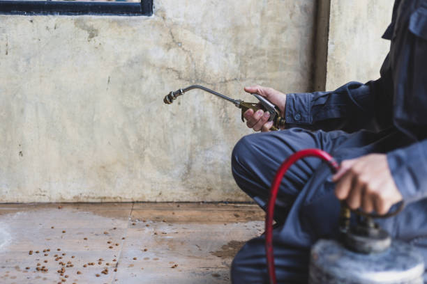 Best Emergency Pest Control  in Saxonburg, PA