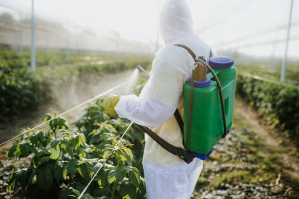Best Cockroach Control Services  in Saxonburg, PA